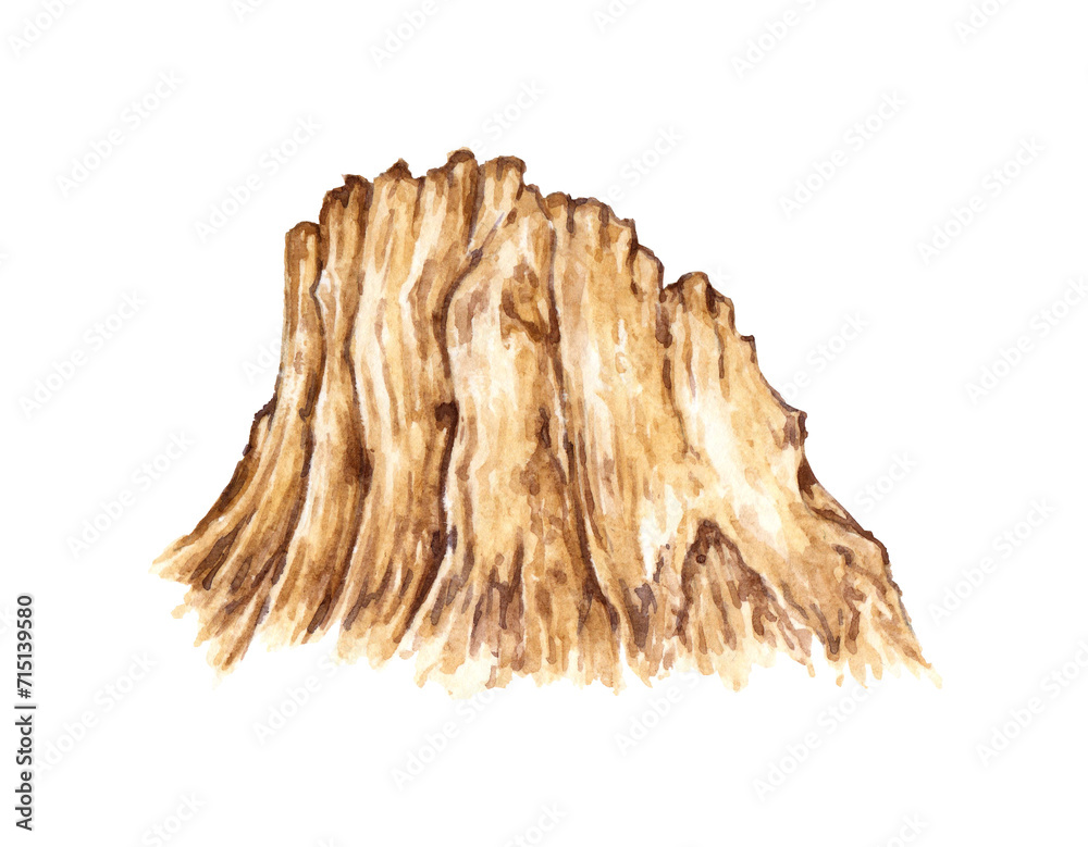 Obraz premium Watercolor illustration of mountain range landscape element. Natural scenery of the Rocky Mountains isolated on white. Background element for the design of gardens, landscapes, parks, forests