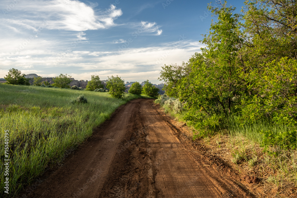 Dirt Road Through Valley In Kolob Terrace