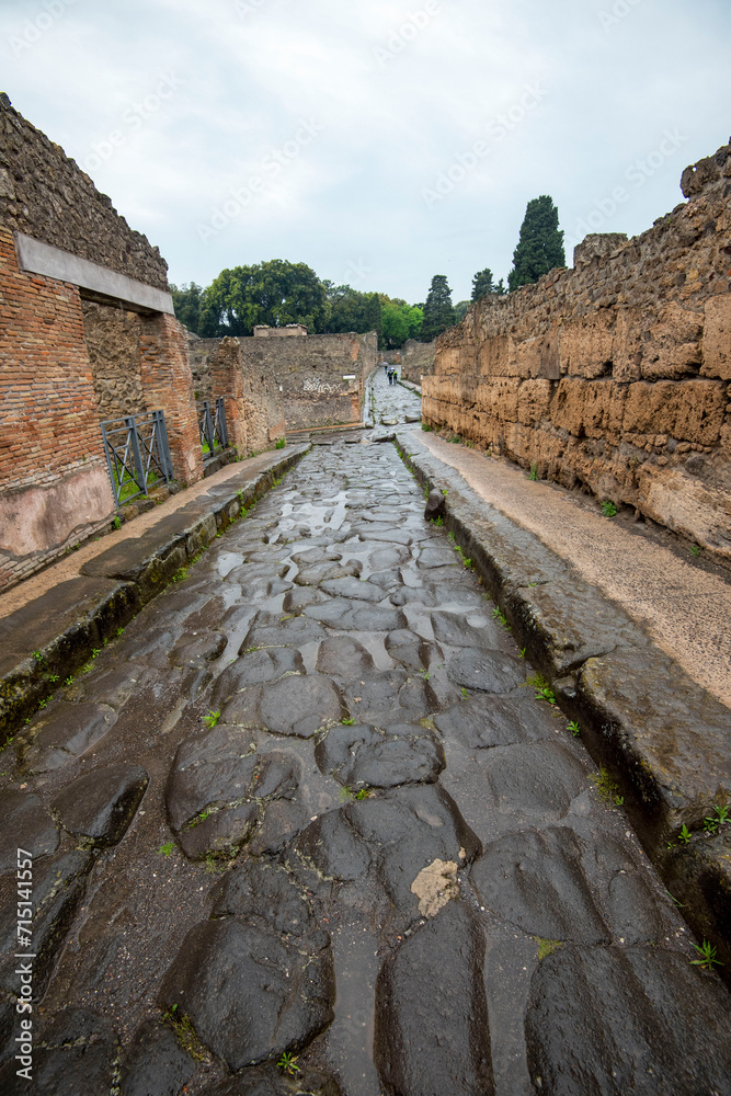 Ancient Street with Ruts - Pompeii - Italy