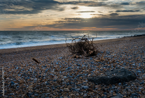 Branches on a shingle beach at sunset in winter