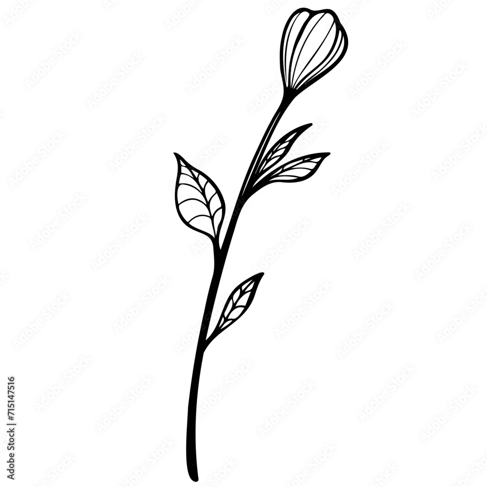 doodle botanical flowers and leaves