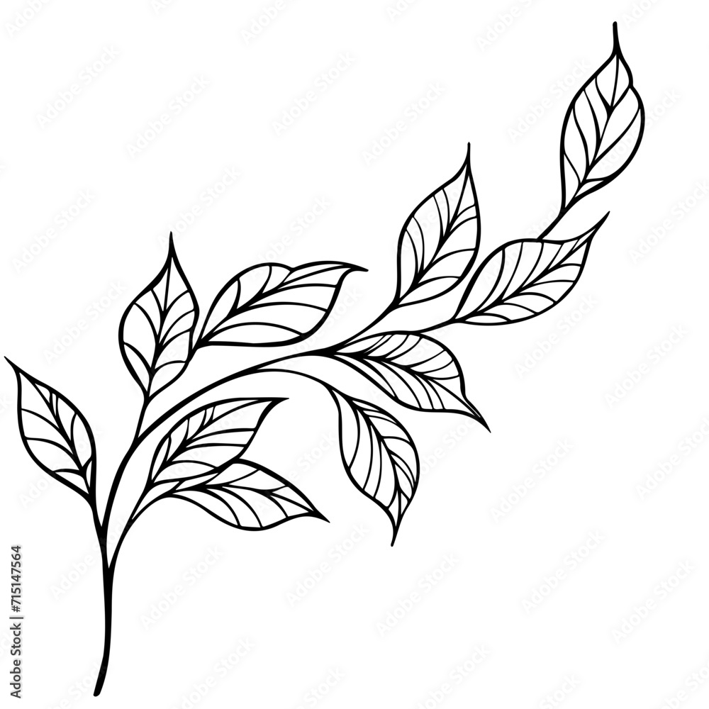 Fototapeta premium branch with leaves