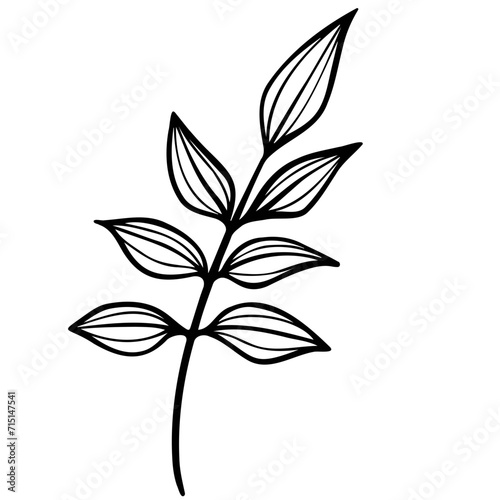 doodle botanical flowers and leaves © angela0982
