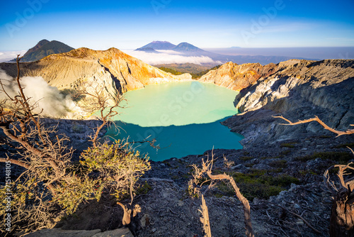 Deadwood Leafless Tree with Turquoise Water Lake,Beautiful nature Landscape mountain and green lake at Kawah Ijen volcano,East Java, Indonesia