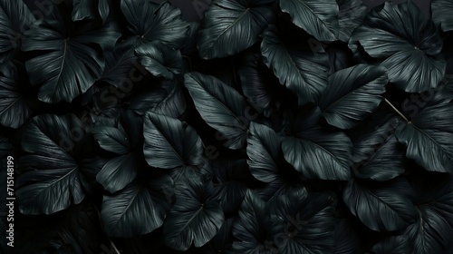 black feathers background  Textures of abstract black leaves for tropical leaf background. Flat lay wallpaper background  dark nature concept  tropical leaf created with generative ai 