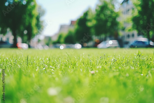 A Nature Photo of Tranquil Meadows and Delicate Pollen