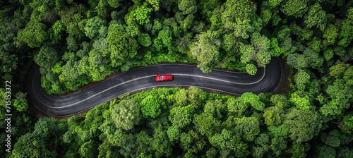 Aerial view of car on forest road, surrounded by green trees, rainforest scenery
