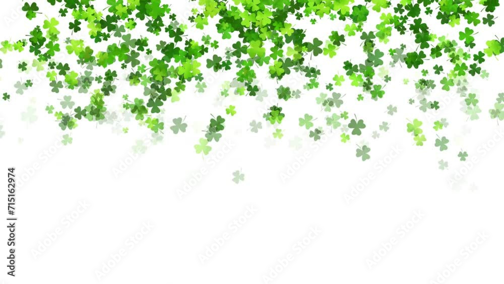 Falling green leaves shamrock clover on white background. Copy space. Looped holiday animation for St. Patricks Day. Falling green leaves shamrock clover on white background. Copy space. Looped holiday animation for St. Patricks Day.