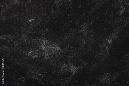 Pet hair on black fabric, top view