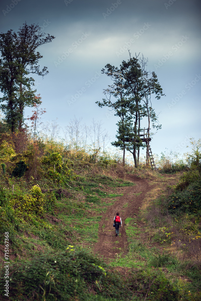 Zoologist Walking Uphill in Countryside to reach a Tree Observation Point