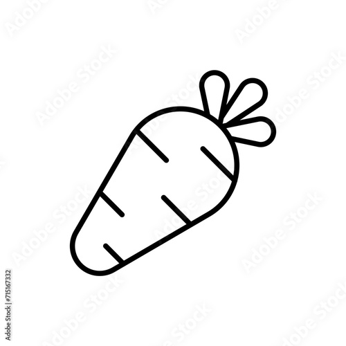 Carrot outline icons, minimalist vector illustration ,simple transparent graphic element .Isolated on white background