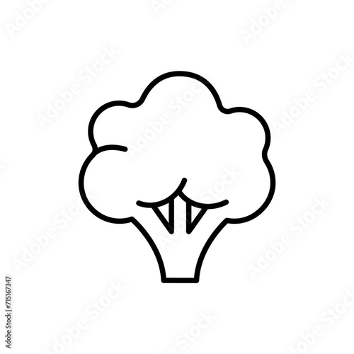 Broccoli outline icons, minimalist vector illustration ,simple transparent graphic element .Isolated on white background