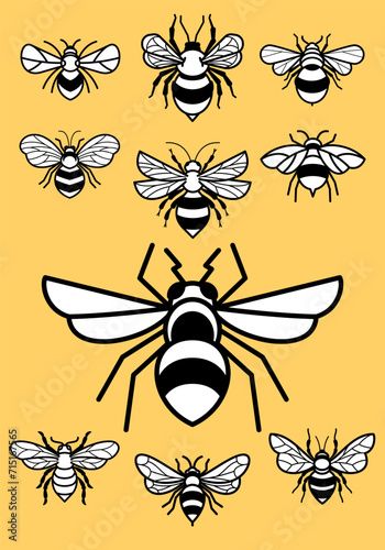 Honey Bee Illustrations
