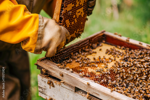Beekeeper tending to a beehive demonstrating care for honey bees