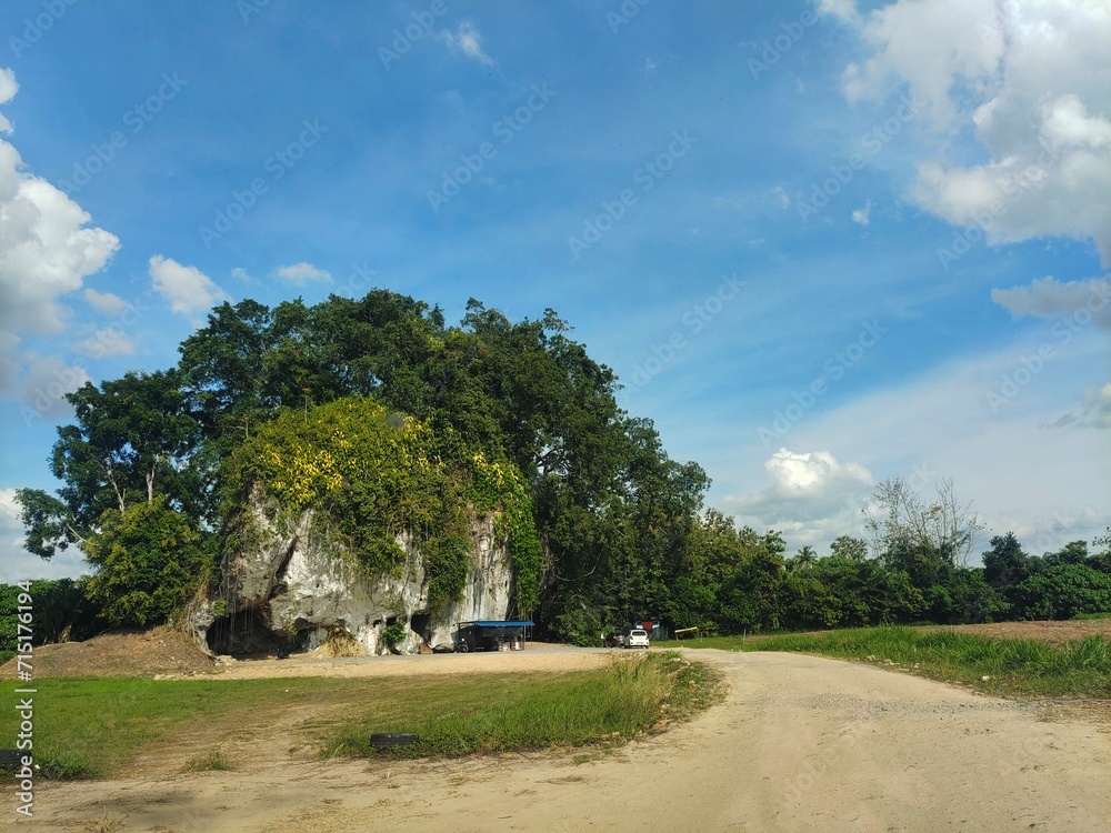 road in the park