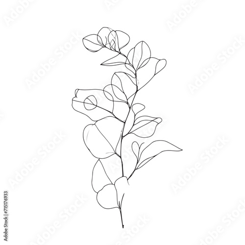 Eucalyptus branch abstract line art drawing for logos and invitations
