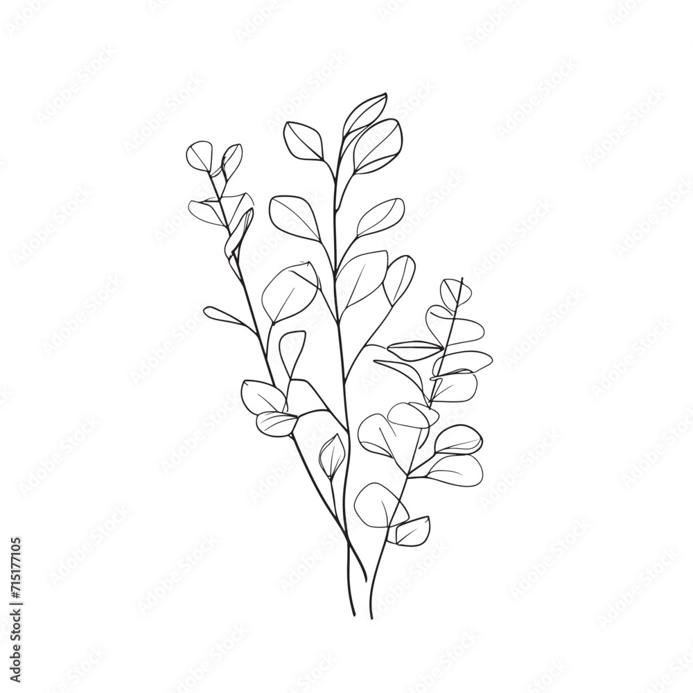 Eucalyptus branch abstract line art drawing for logos and invitations Eucalyptus branch abstract line art drawing for logos and invitations