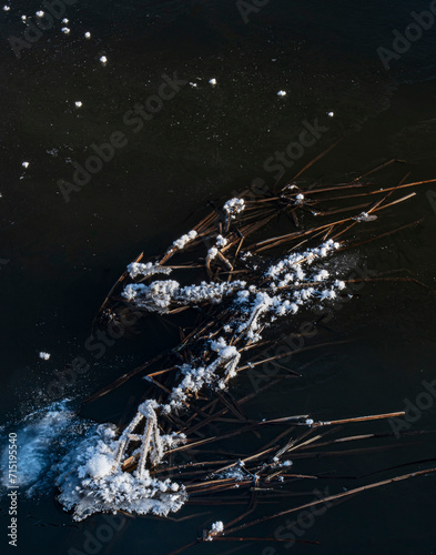 711-52 River Ice Crystals and Reeds photo