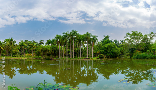 Xishuangbanna Tropical Botanical Garden  Chinese Academy of Sciences  Xishuangbanna Dai Autonomous Prefecture  Yunnan Province  China.