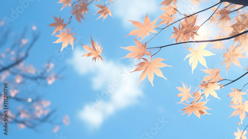 Japanese maple leaves in autumn hues against a soft blue sky with a blurred background  conveying a serene fall day.