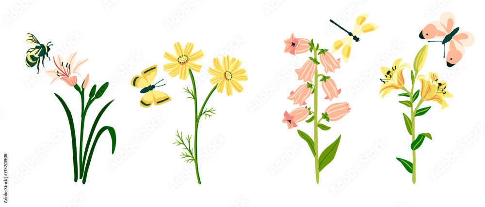 vector drawing garden flowers and butterflies, dragonfly and bumblebee at white background, hand drawn botanical illustration