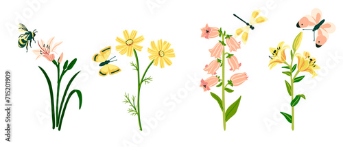 vector drawing garden flowers and butterflies, dragonfly and bumblebee at white background, hand drawn botanical illustration © cat_arch_angel