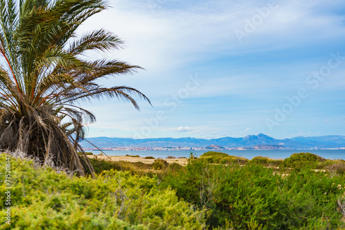 Coastal landscape with Alicante city, Spain