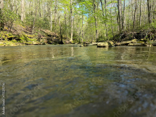 Creek flowing in the woods of Alabama