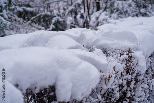 A serene snowy landscape captures the tranquility of a forest with heavily snow-laden trees