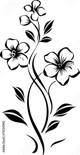 Vector black silhouettes of flowers isolated background