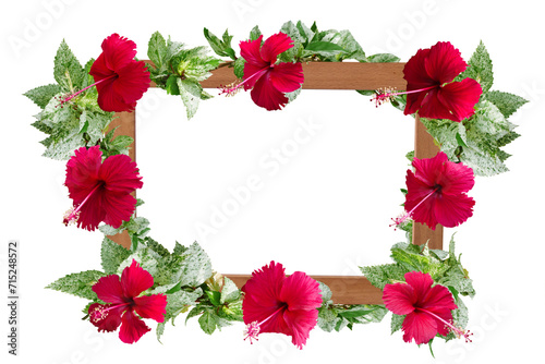 Close-up view of wooden frame with red hibiscus flowers blooming around it, isolated on transparent background png file.