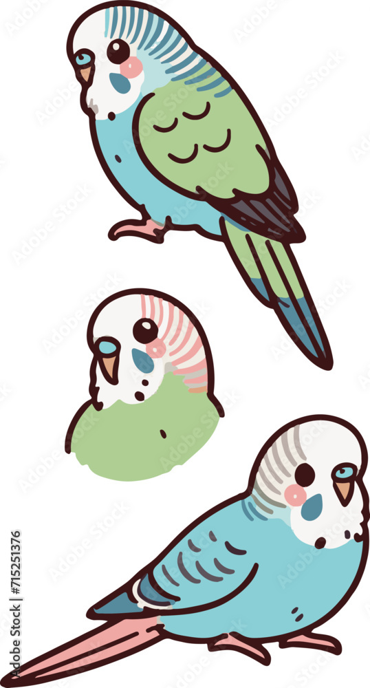 Fototapeta premium インコ