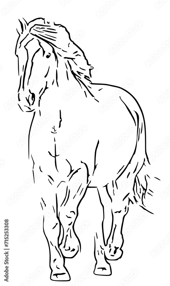 Fototapeta premium horse line art (38)