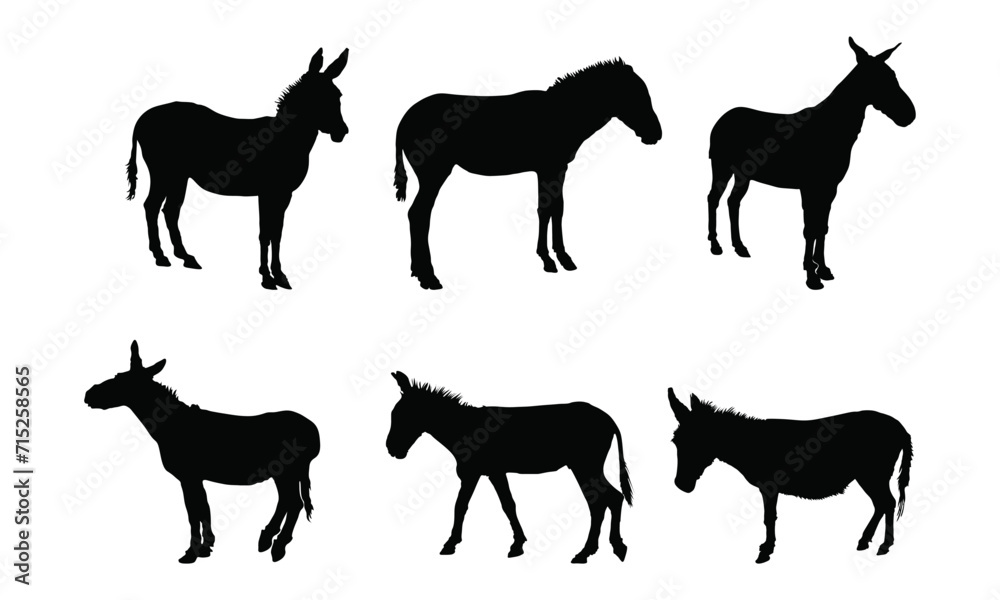 Donkey Vector Graphic Design