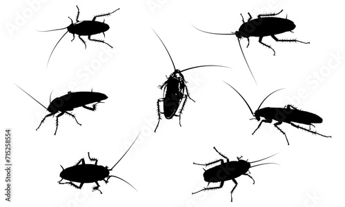 Cockroaches Graphic Design © DasharathChandra