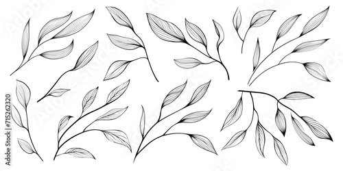 Set of vector leaves isolated on a white background, minimalist design, black and white