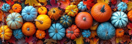 Thanksgiving Day Flat Lay Composition Pumpkins, Background HD, Illustrations