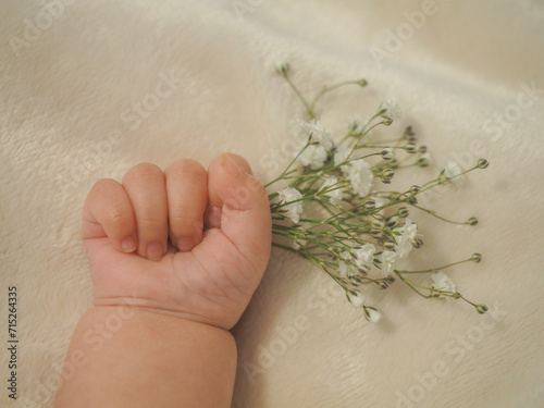 Baby hand with white Baby`s breath