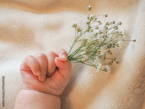 Baby hand with white Baby`s breath
