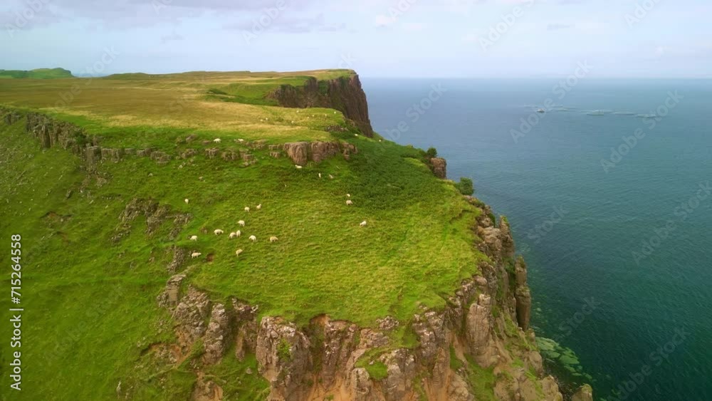Aerial view drone Isle of Skye in Scotland. Coastal sea cliffs, sheep on pastures. Scottish travel destination, tourism landmark in Britain. Aerial view drone Isle of Skye in Scotland. Coastal sea cliffs, sheep on pastures. Scottish travel destination, tourism landmark in Britain.
