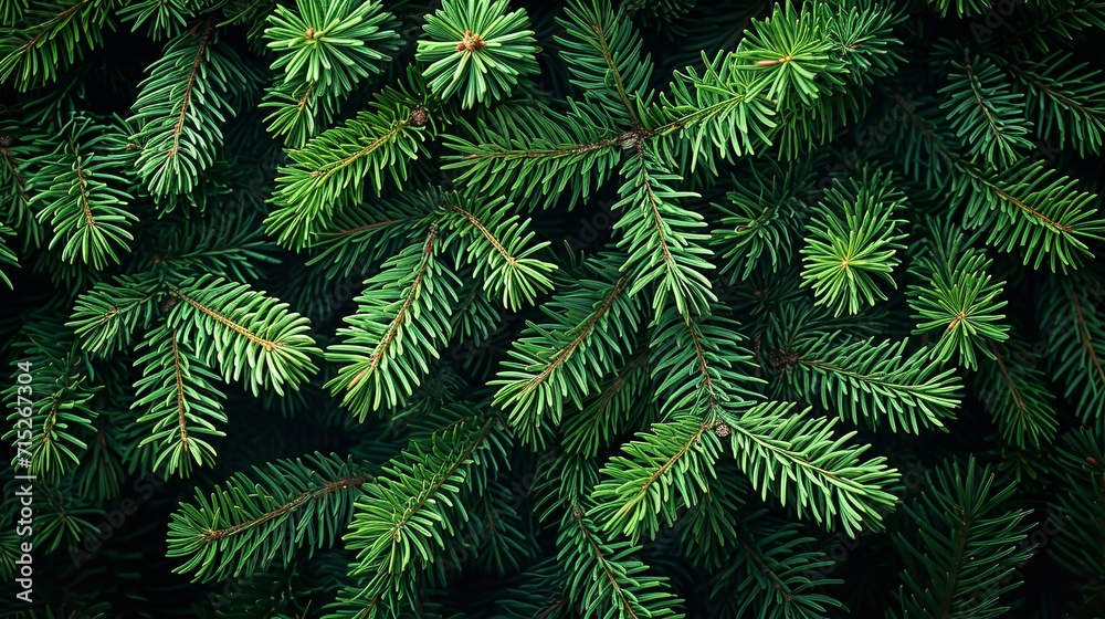 Top view of a frame with bright green pine in a surface for background image, Generative AI.