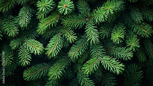 Top view of a frame with bright green pine in a surface for background image  Generative AI.