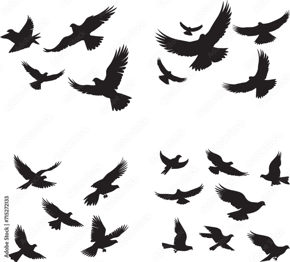 silhouettes of a beautiful birds set on white background silhouettes of a beautiful birds set on white background
