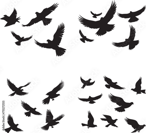 silhouettes of a beautiful birds set on white background 