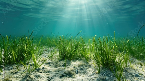 An underwater view reveals a seabed group flourishing with green seagrass, Ai Generated.