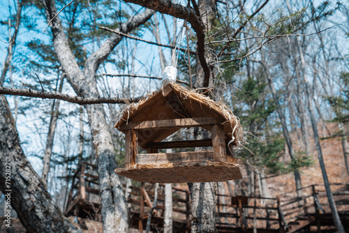 Bird feeder in the forest. Caring for birds. © Сергей Косилко