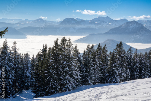 Beautiful winter landscape. View from a mountain (Spitzstein) on the German-Austrian border of a blanket of fog over the Inn Valley. In the foreground ski slope and a spruce tree silhouette. Blue sky