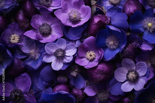  a bunch of purple and blue flowers that are very close to each other on a black background with a yellow center surrounded by smaller purple and white flowers.