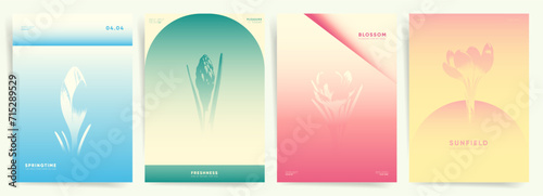 Aesthetic Cover Templates with Springtime Gradients. Minimal Flower Patterns and Abstract duotone Design Background.