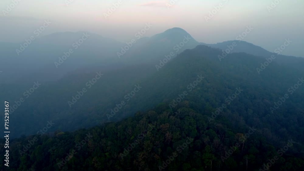 Ariel shot of Trees tops of forests of coorg in Karnataka, India Ariel shot of Trees tops of forests of coorg in Karnataka, India